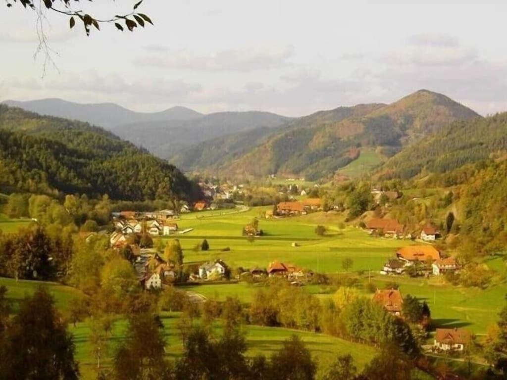 Oberbauernhof - Wohnung "Am Garten" -- Moderne Fewo Im Schoenen Schwarzwaldhaus Gutach Bagian luar foto