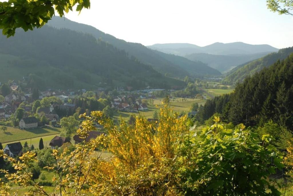 Oberbauernhof - Wohnung "Am Garten" -- Moderne Fewo Im Schoenen Schwarzwaldhaus Gutach Bagian luar foto