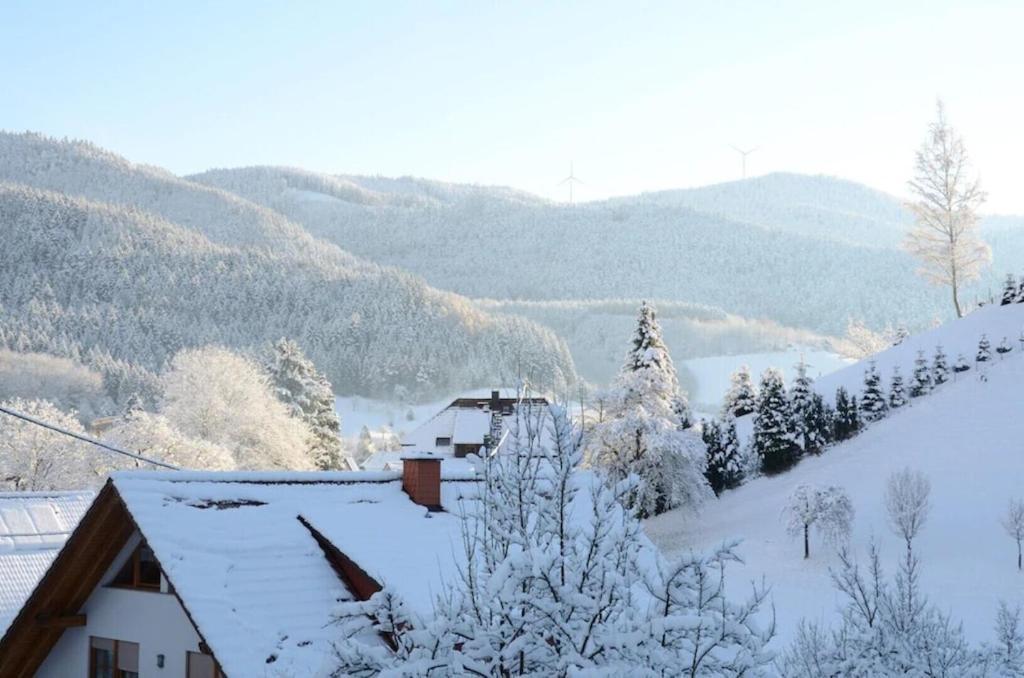 Oberbauernhof - Wohnung "Am Garten" -- Moderne Fewo Im Schoenen Schwarzwaldhaus Gutach Bagian luar foto